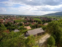 /album/kepek-/maya-mano-es-momo-149-jpg/